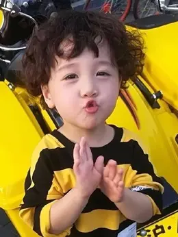 单禹豪